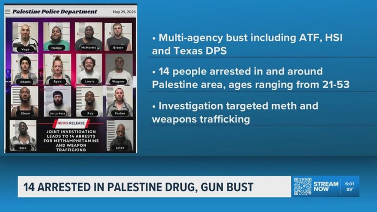 14 arrested in Palestine drug and illegal gun trafficking investigation ...