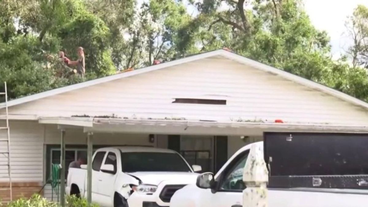 ‘Crying and carrying on': Stepson speaks after woman killed by fallen ...