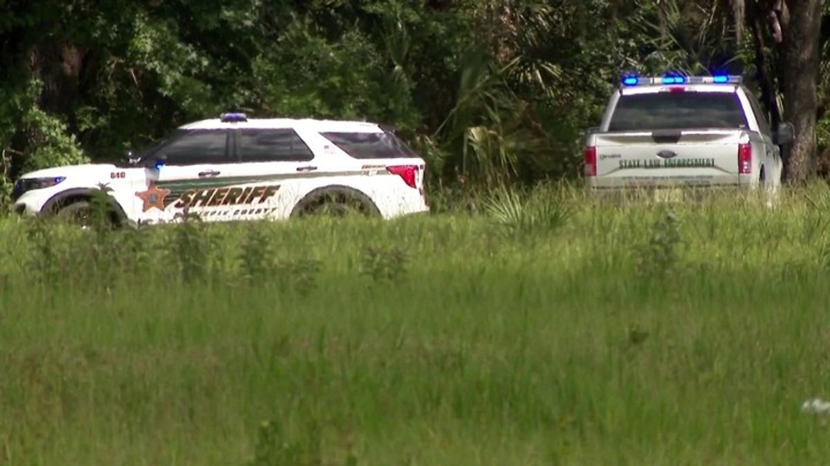 Woman Killed After Alligator Attack in Florida State Park | Haystack News