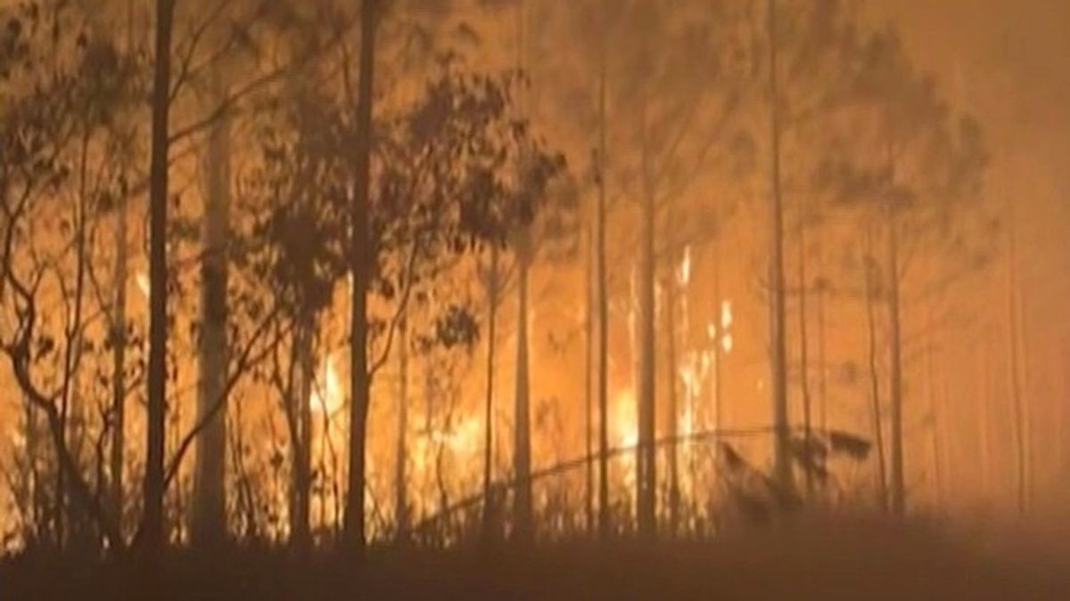 Georgia Wildfires Force Evacuations, Destroy Homes Amid State of Emergency - News Directory 3