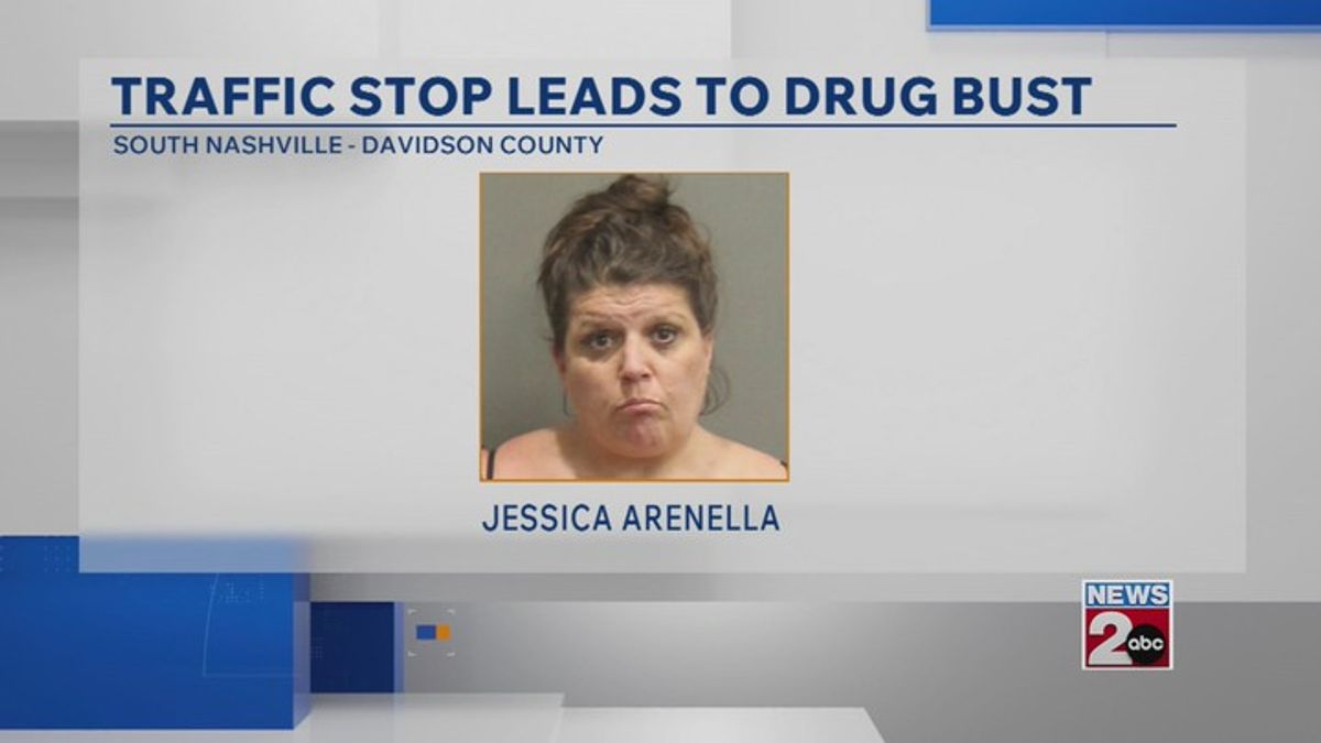 Traffic stop leads to drug bust in South Nashville | Haystack News