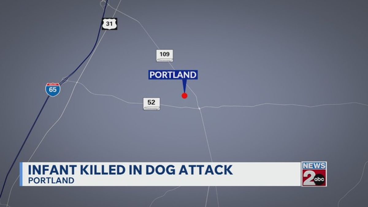 Infant killed in dog attack in Portland | Haystack News
