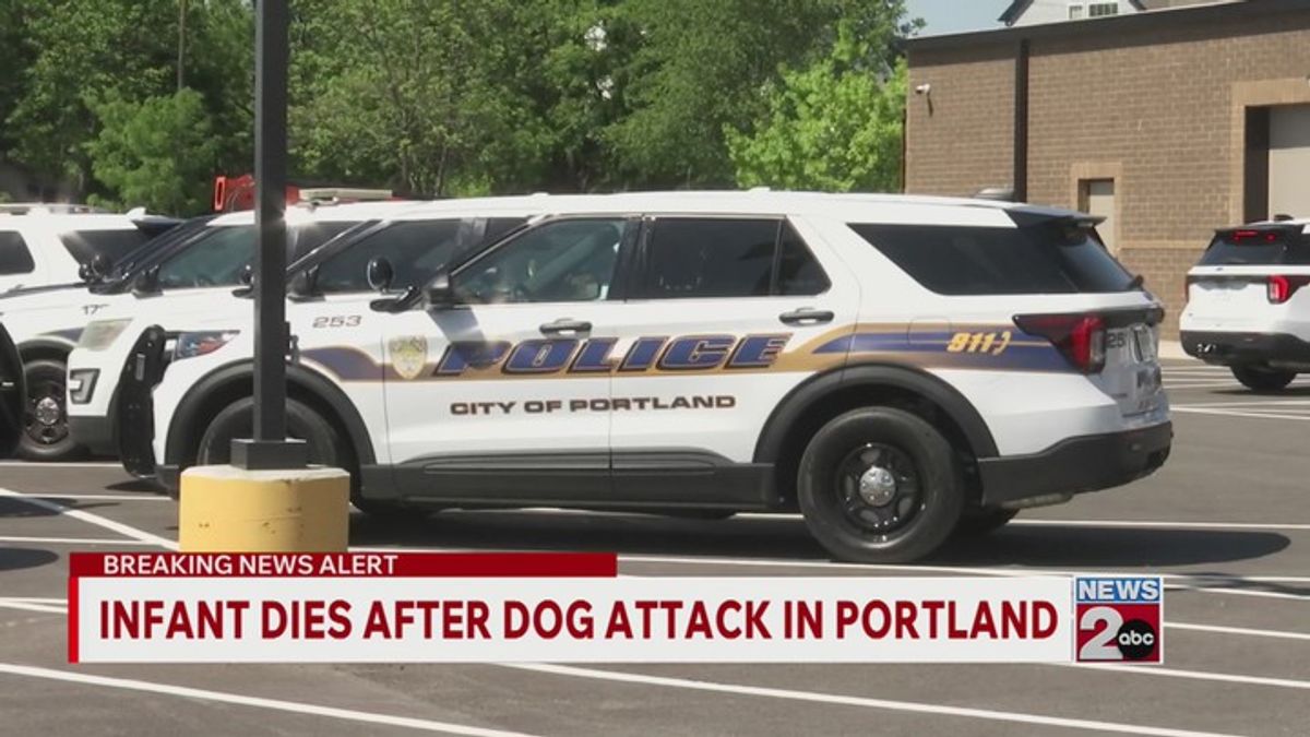 Infant dies after dog attack in Portland | Haystack News