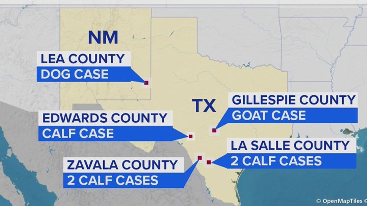Seven confirmed cases of New World screwworm | Haystack News