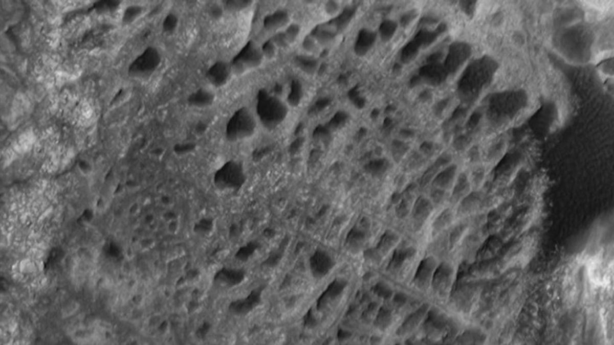 NASA captures images of spiderwebs on Mars | Haystack News