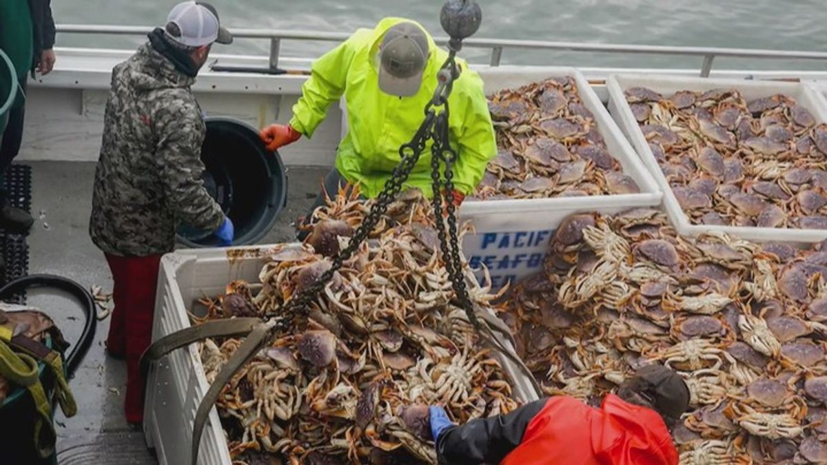 'American seafood is safer': Fisherman backs Trump's new label push ...