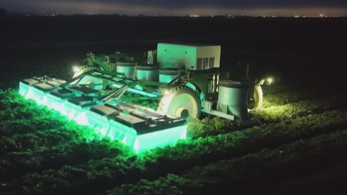 American company uses robots to remove pesticides from crops | Haystack ...