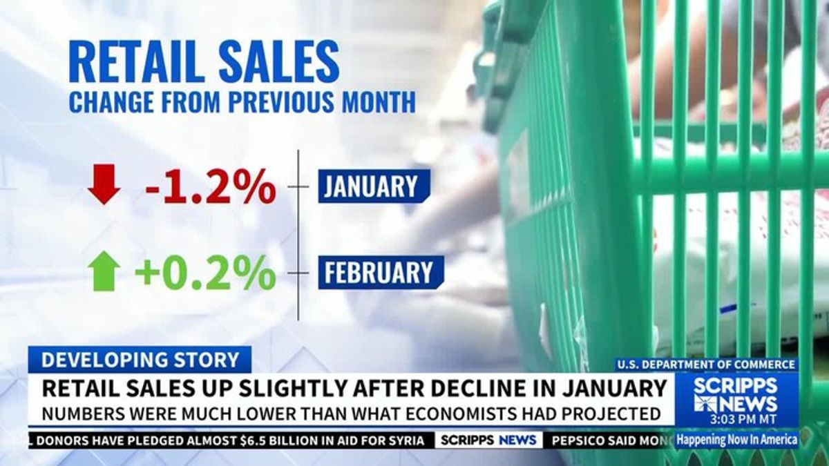 Retail sales up slightly after decline in January | Haystack News