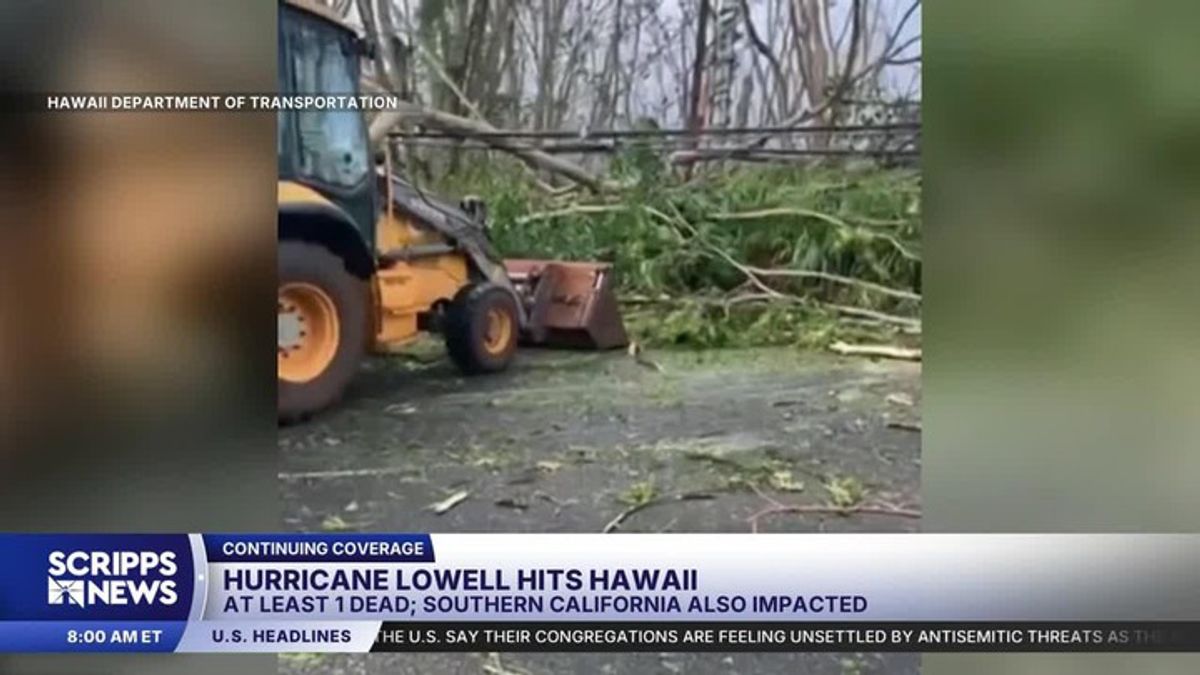 Hawaii cleans up after Hurricane Lowell downs trees, floods roads and ...