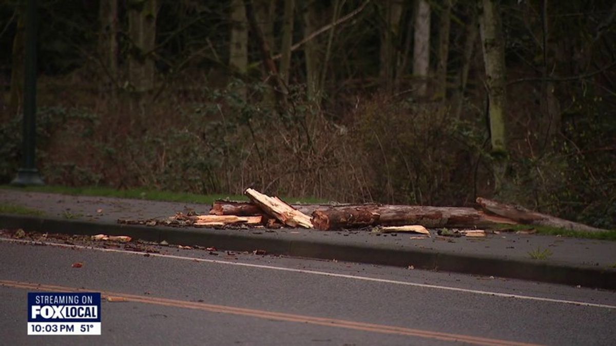 Gusty winds, heavy snow knock out power to thousands in western WA ...