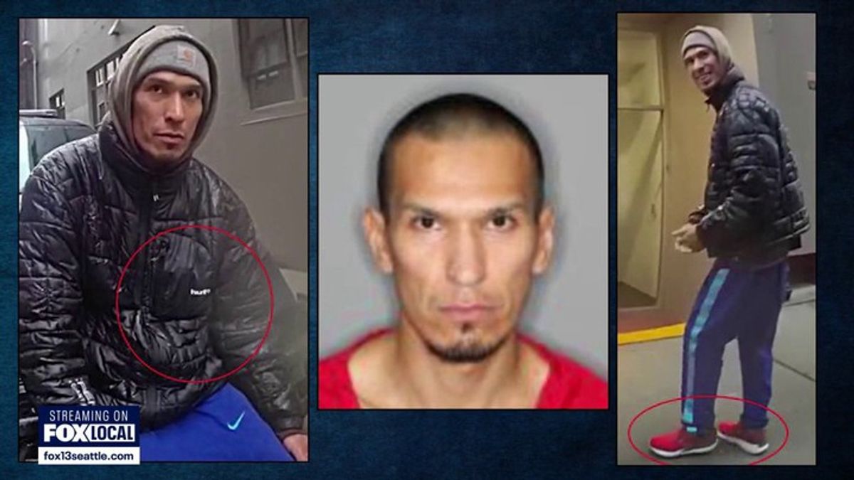 Bodycam shows arrest of Bellevue burglary suspect | Haystack News