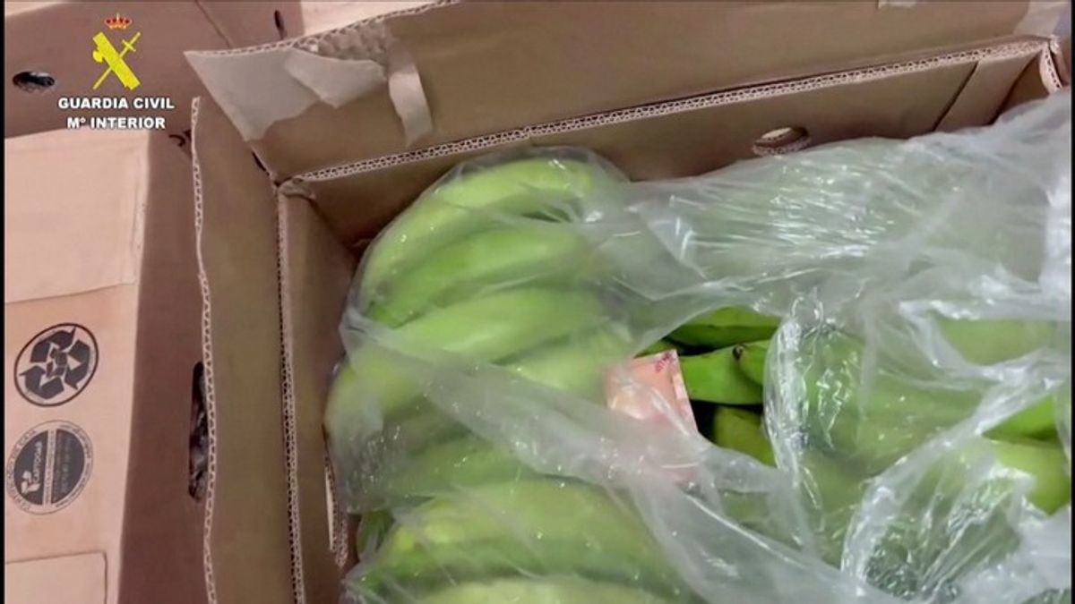 Police in Spain Seize 6.5 Tons of Cocaine Hidden in Banana Shipments ...