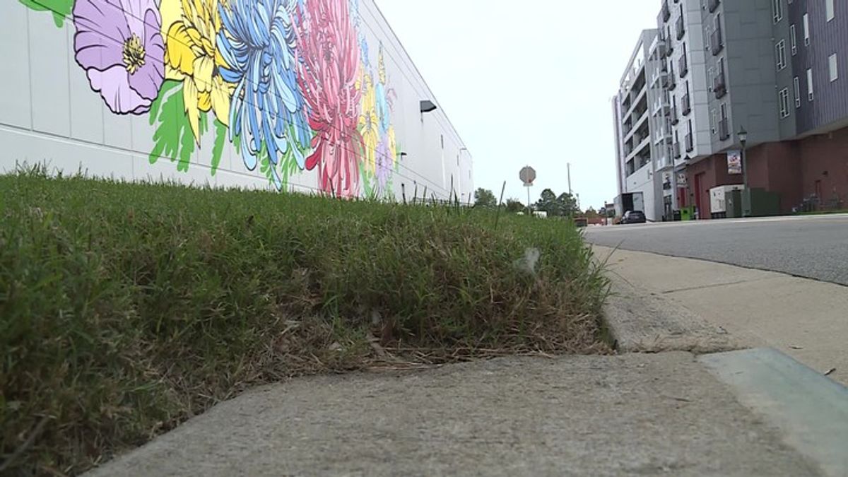 Interview with woman seriously injured in Chesapeake random attack ...