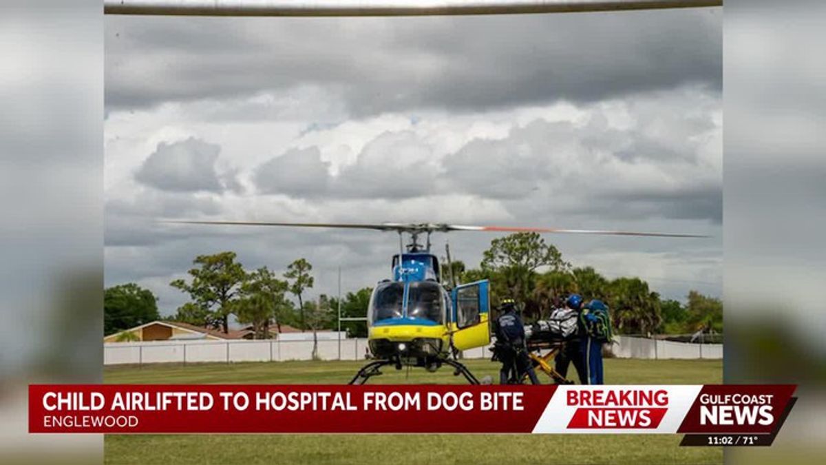 9-year-old girl airlifted to Tampa hospital after dog attack in ...