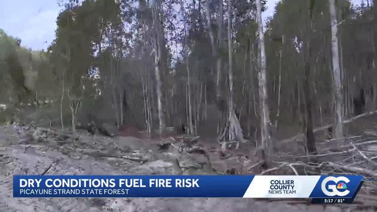 High fire danger across Gulf Coast as dry, windy conditions persist ...