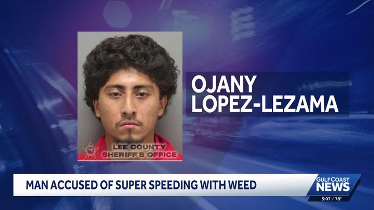 Marijuana found during Lee County traffic stop after deputies say ...