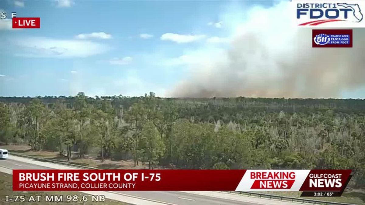 Picayune Strand brush fire grows to 100 acres in Collier County ...