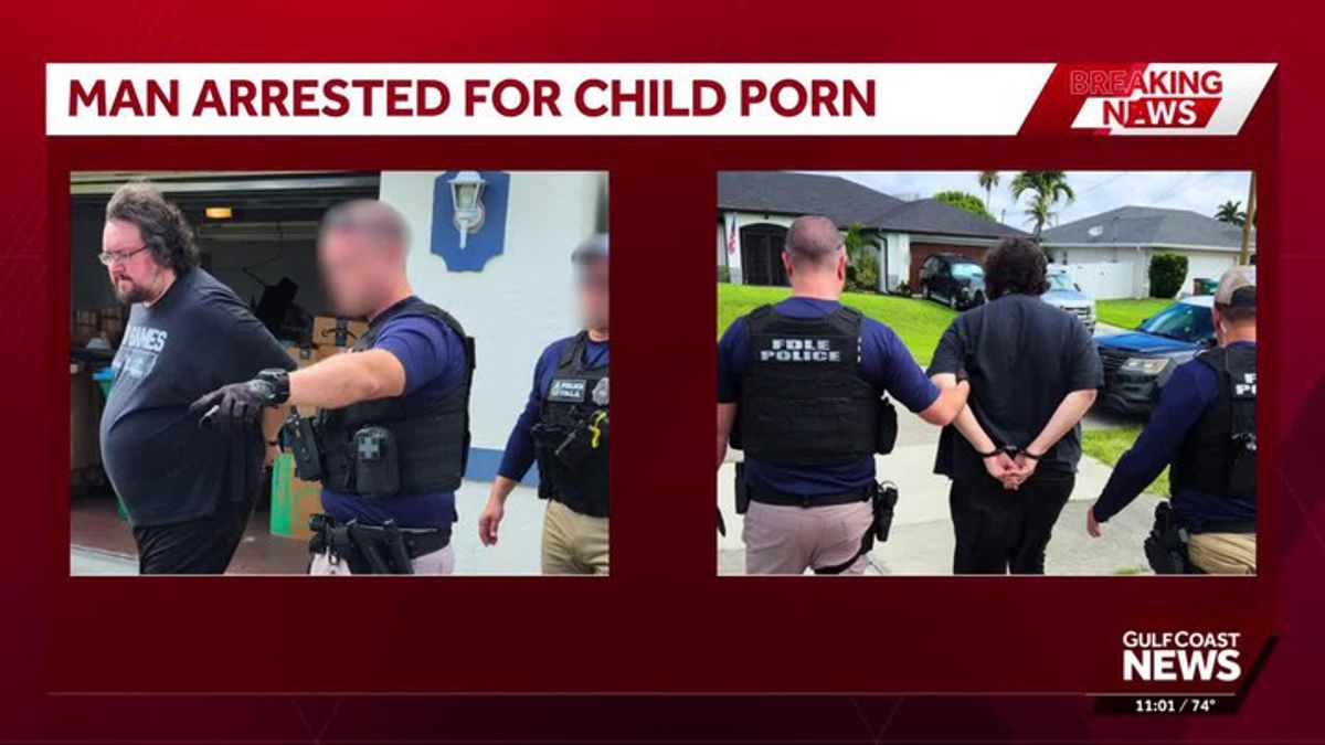 Cape Coral man accused of possession of hundreds of files containing ...