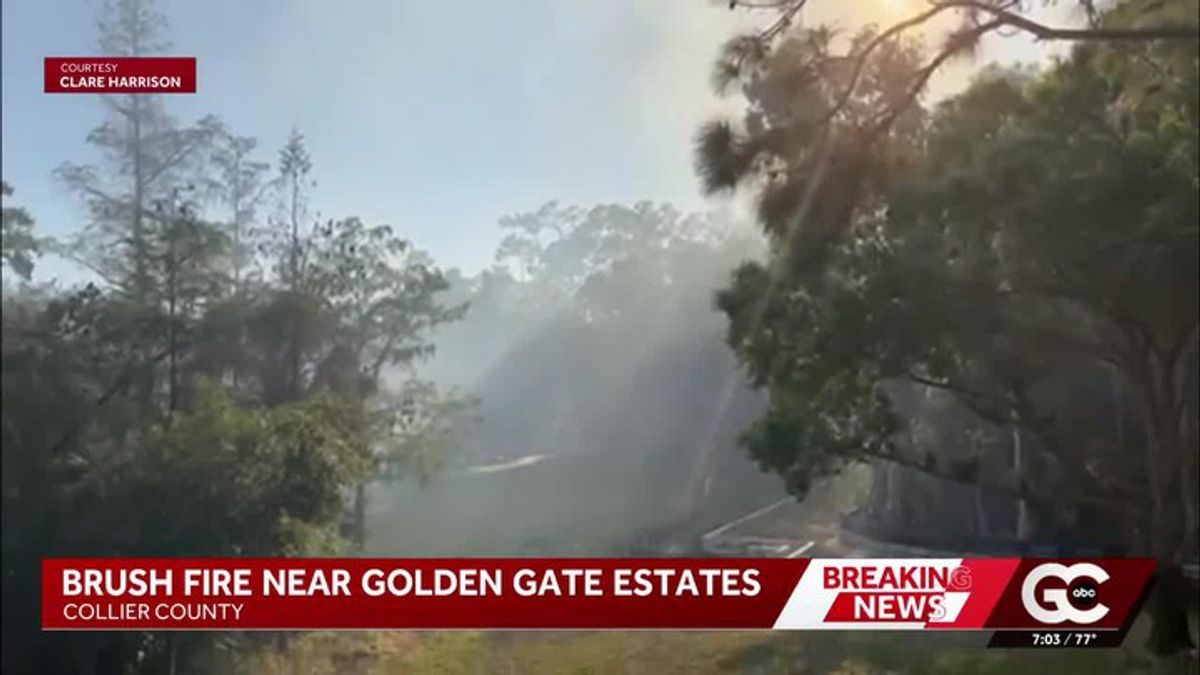 Brush fire erupts near Triandra Lane in Collier County | Haystack News