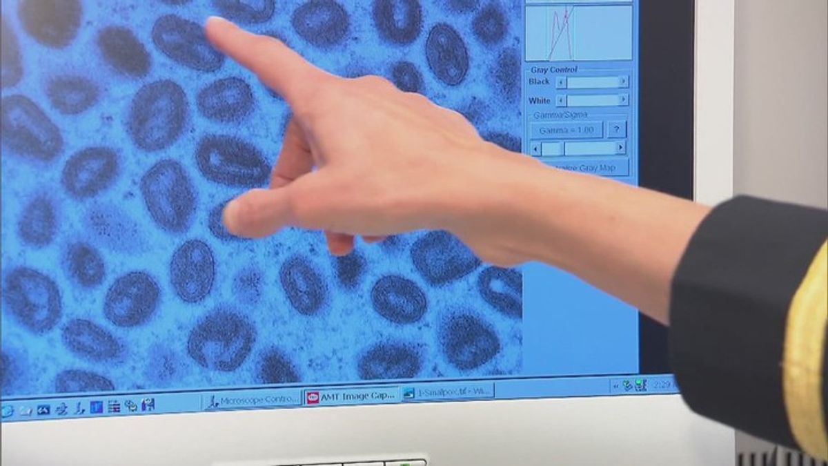 CDC pauses testing for several viruses | Haystack News