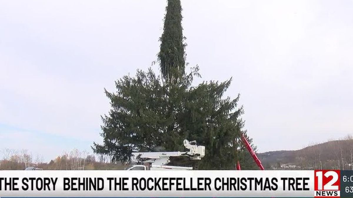 The man who planted this year’s Rockefeller Center Christmas tree ...