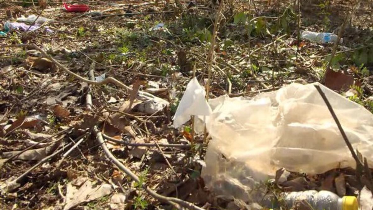 2026 Valley Creek spring clean-up in Bessemer | Haystack News