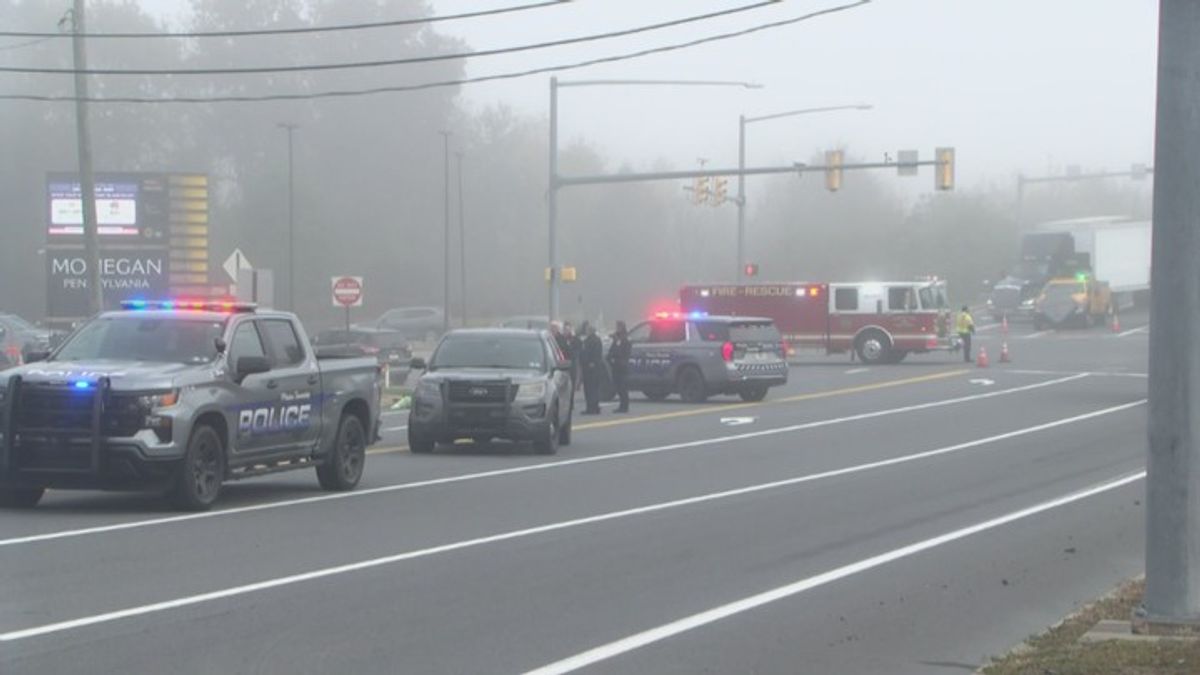 Pedestrian dies after being hit on Route 315 | Haystack News