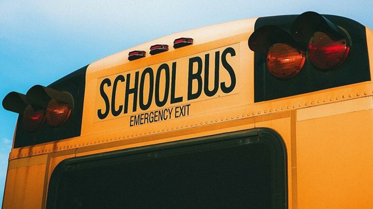Tree falls on Claremont school bus | Haystack News