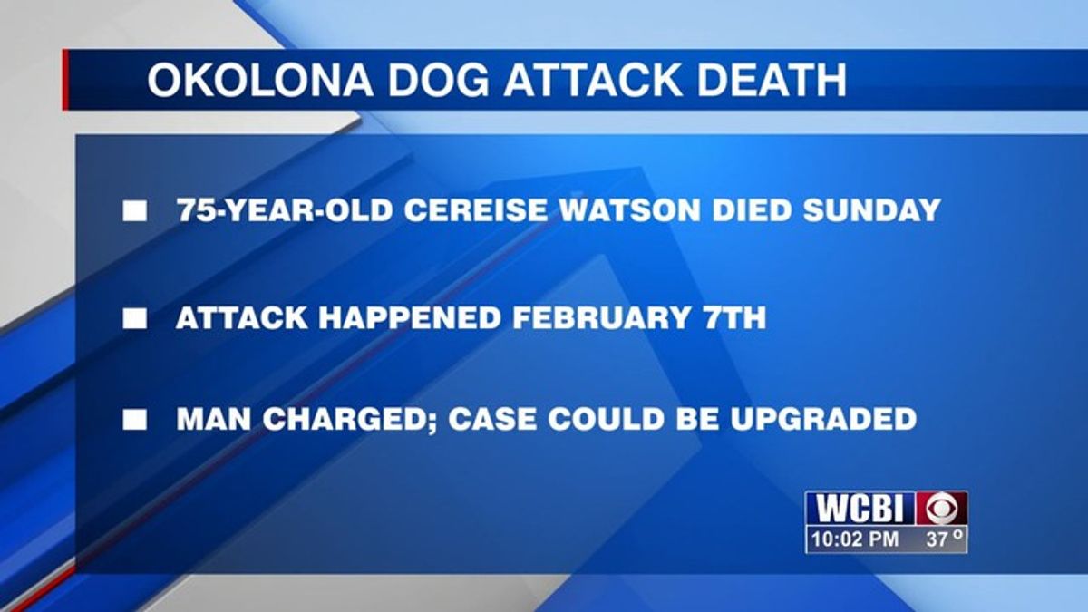 Okolona woman dies from her injuries after a dog attack | Haystack News