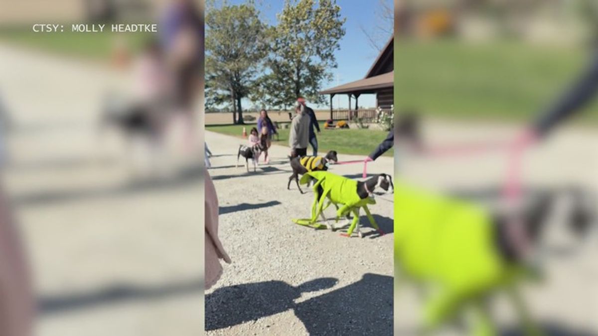 'Goat'-ally fantastic: Prairie Fruits Farm and Creamery hosts Fall Farm ...