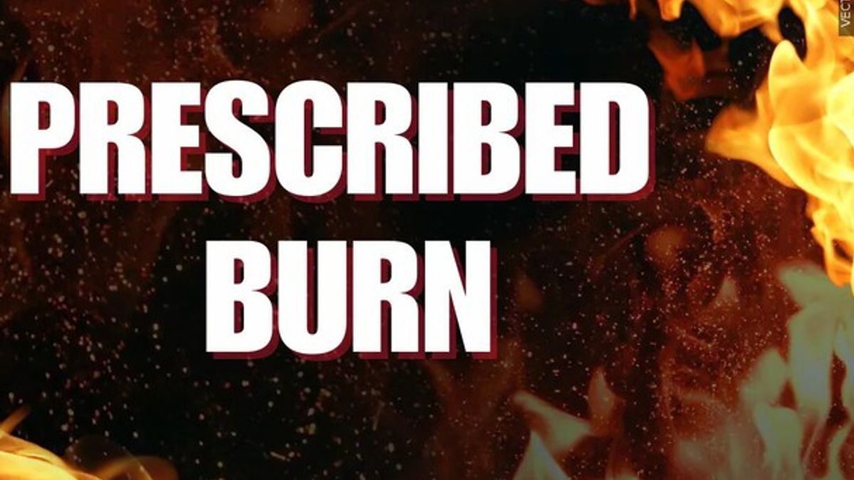 Smoke from prescribed burn impacts visibility on I-75, I-10; Forest ...
