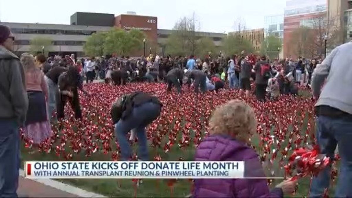 Ohio State hosts another successful 'Pinwheel Planting' reunion ...