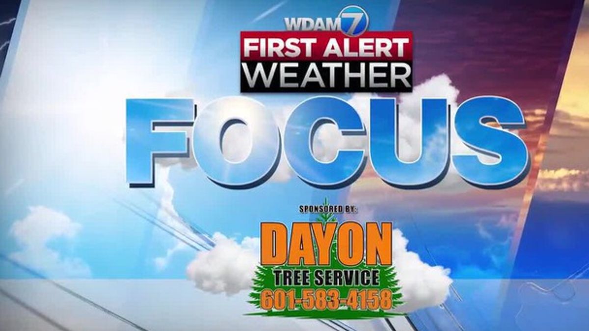 WDAM 7 First Alert Weather Focus - 03/18/2026 | Haystack News