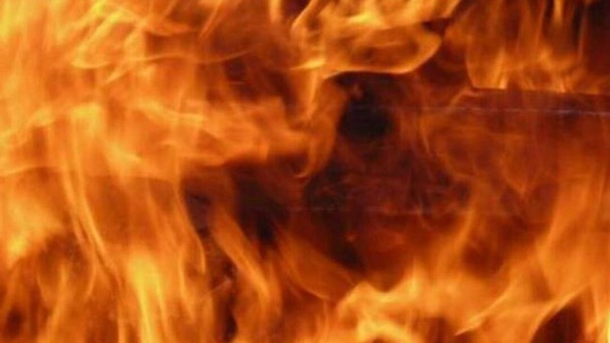 Live fire training planned for Carolina Beach | Haystack News