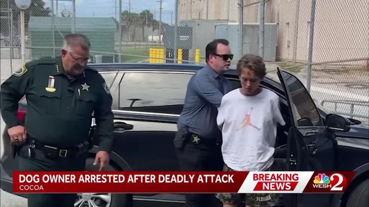 Arrest made in fatal Brevard County dog attack, sheriff says | Haystack ...