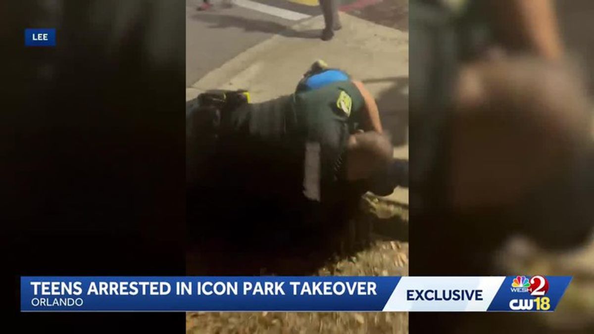 Teen's family alleges deputy used excessive force during Icon Park ...
