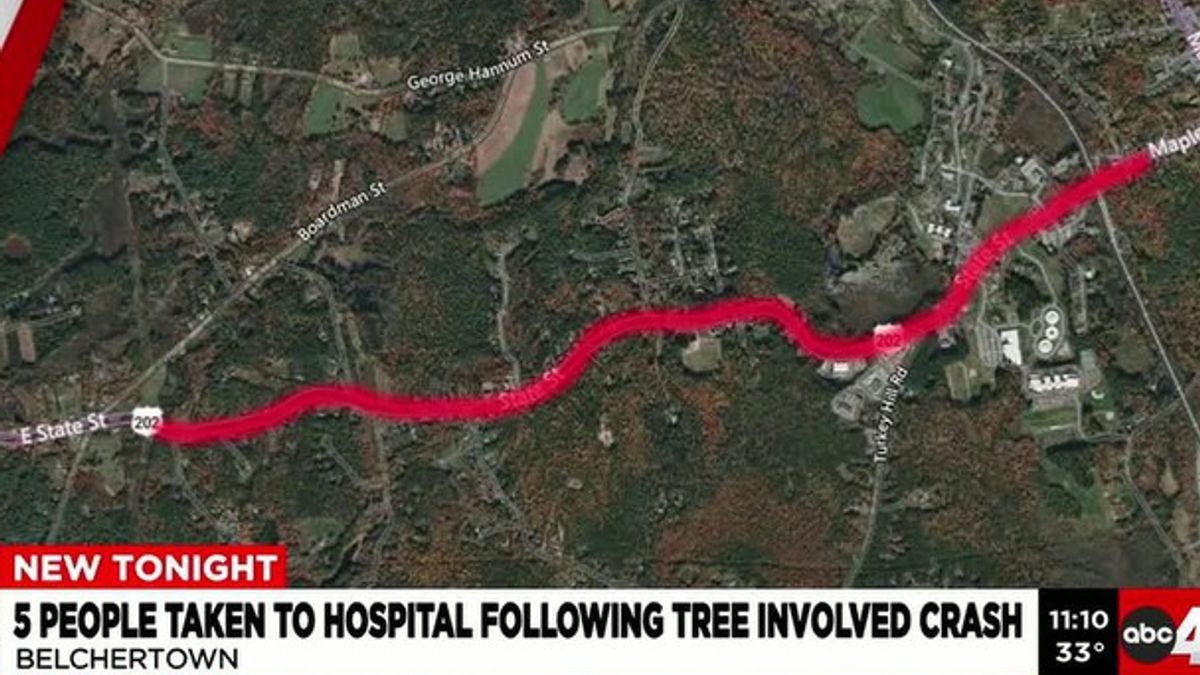 5 people taken to hospital following tree involved crash | Haystack News