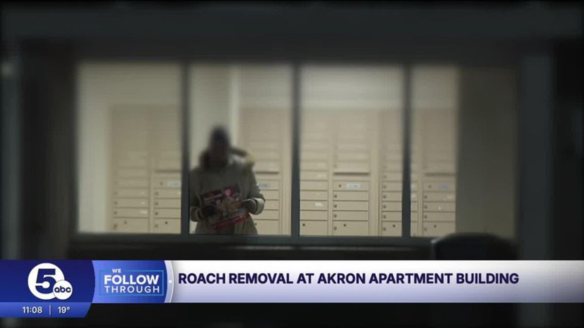 Mail is back at Akron apartment after cockroach infestation suspended ...