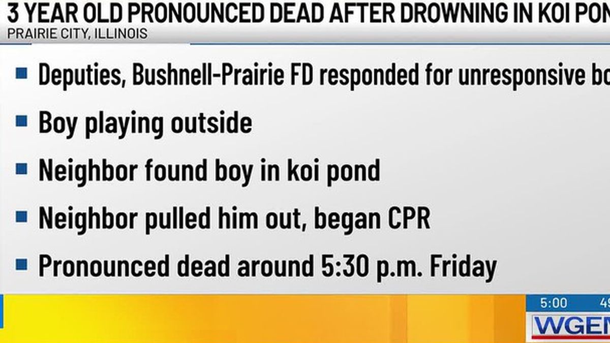 3-year-old boy dead after drowning in koi pond | Haystack News