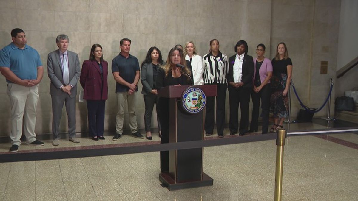 Chicago-Cook County joint task force looks to pass resolution to ...