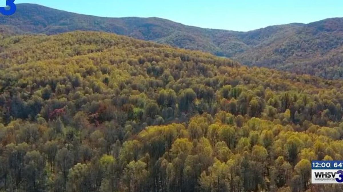 Virginia man convicted for hatchet assault on girlfriend in Shenandoah ...