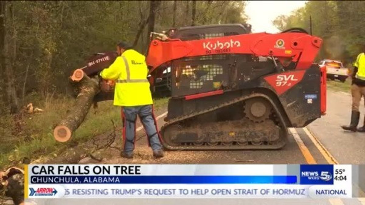 Tree falls on car during storm in Chunchula | Haystack News