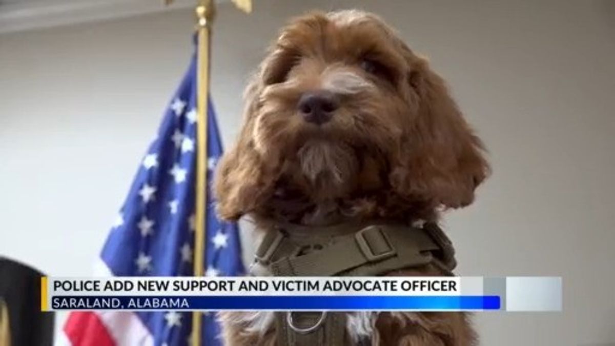 Saraland Police Department adds new K9 officer | Haystack News