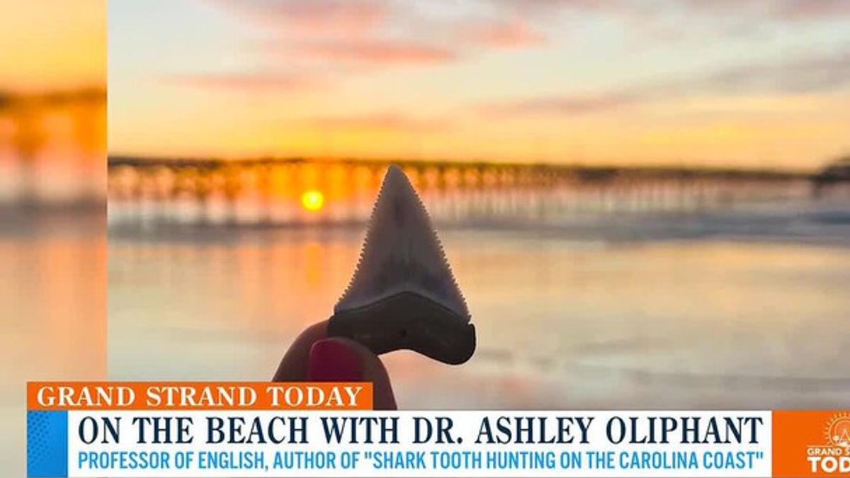 Grand Strand Today - On the Beach with Dr. Ashley Oliphant | Haystack News