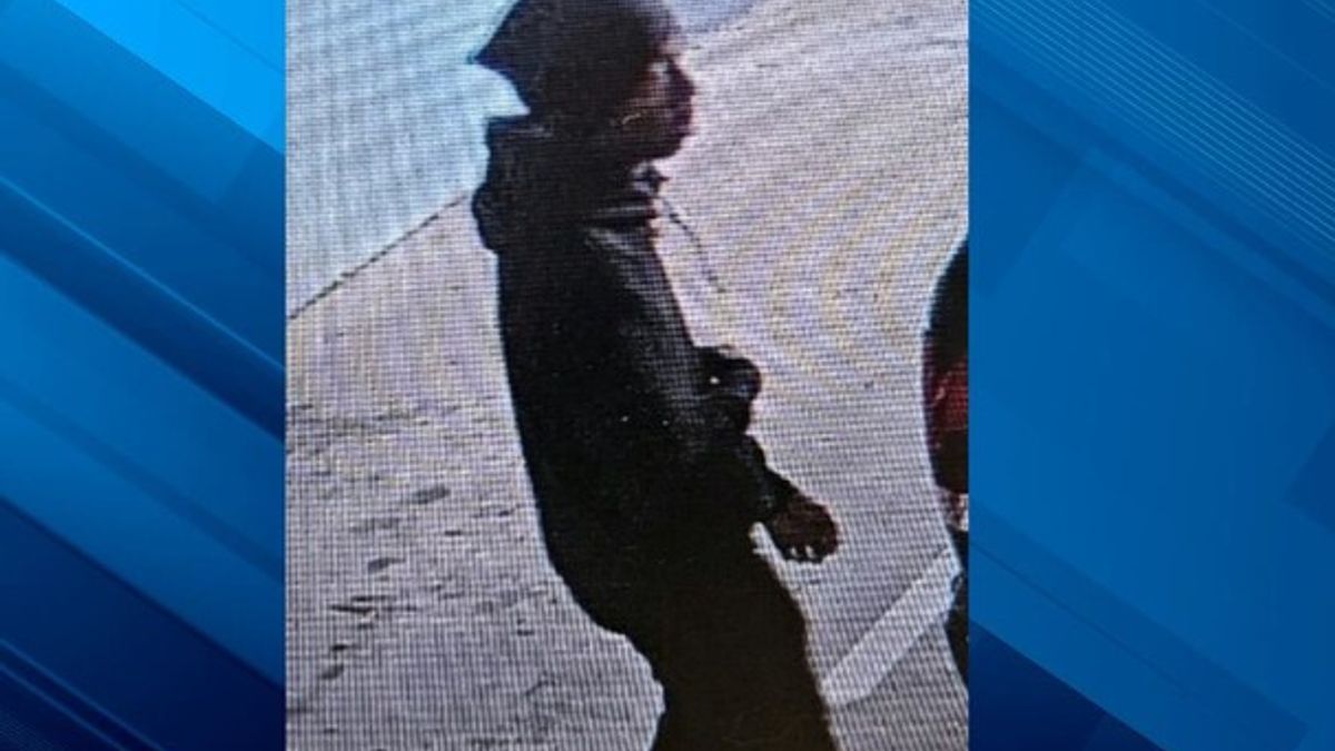 Second suspect in custody after Myrtle Beach armed robbery | Haystack News