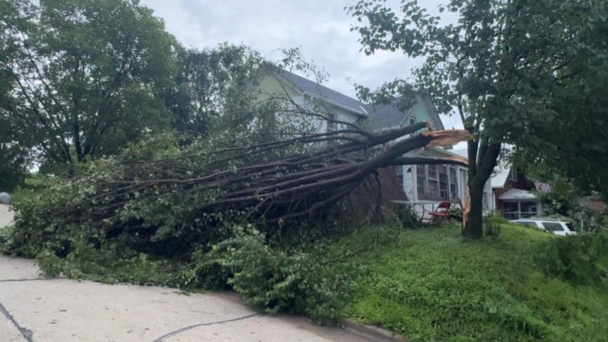 Strong winds, heavy rain down trees in Guthrie Country | Haystack News