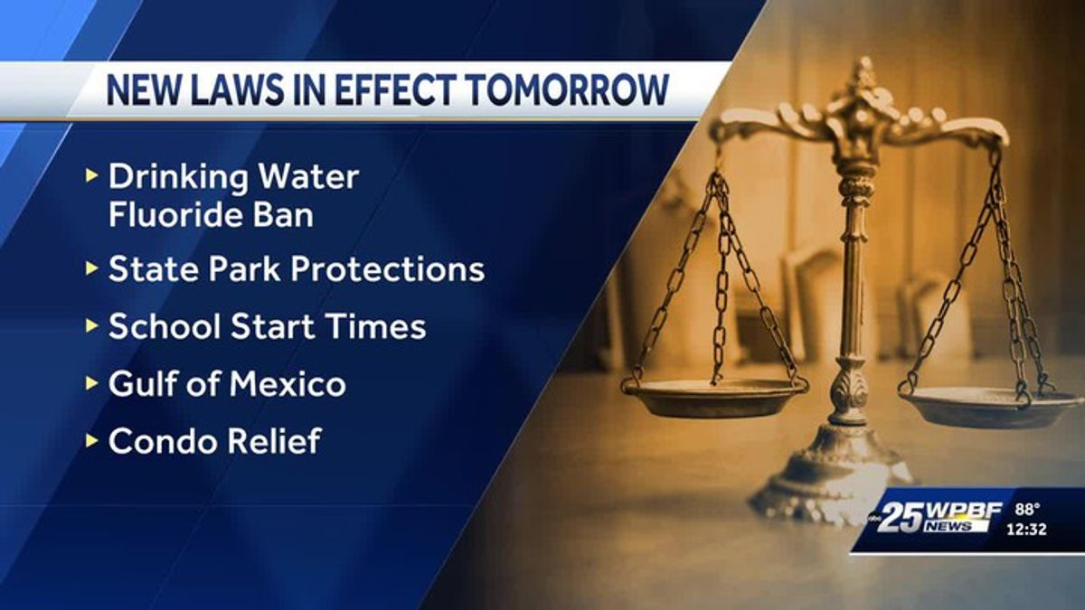 New laws to take effect in Florida on July 1, 2025 | Haystack News