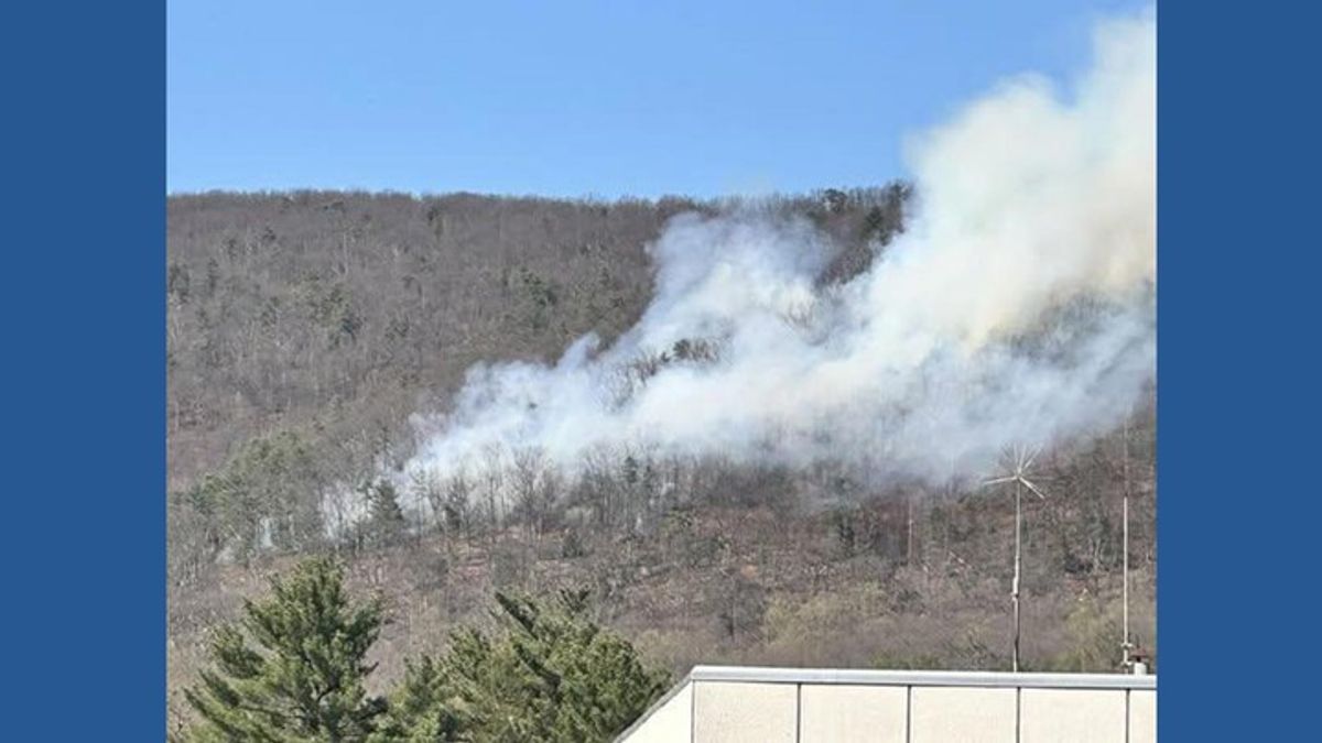 Crews in Franklin County respond to mountain fire in Greene Township ...