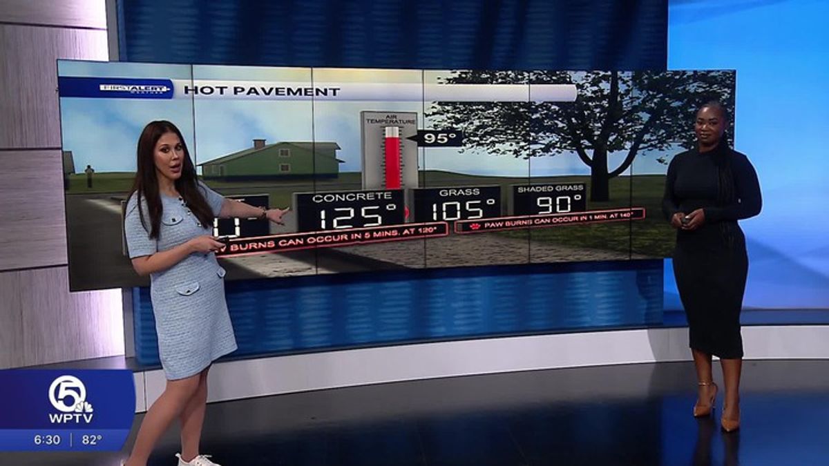 Watch WPTV Channel5 News West Palm Beach Free | Haystack News