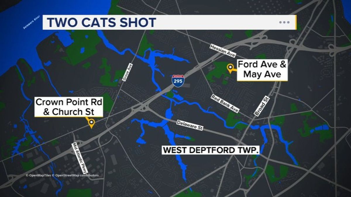 Police urge residents to bring outdoor cats inside after 2 shot in West ...